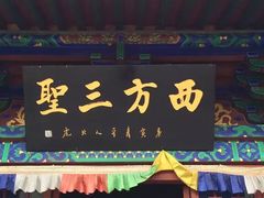 -大槐树寻根祭祖园