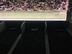 -重庆南山海昌汤都