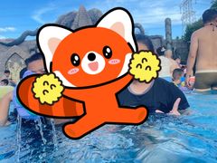 -苏州乐园森林水世界