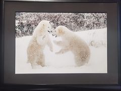 -罗红摄影艺术馆