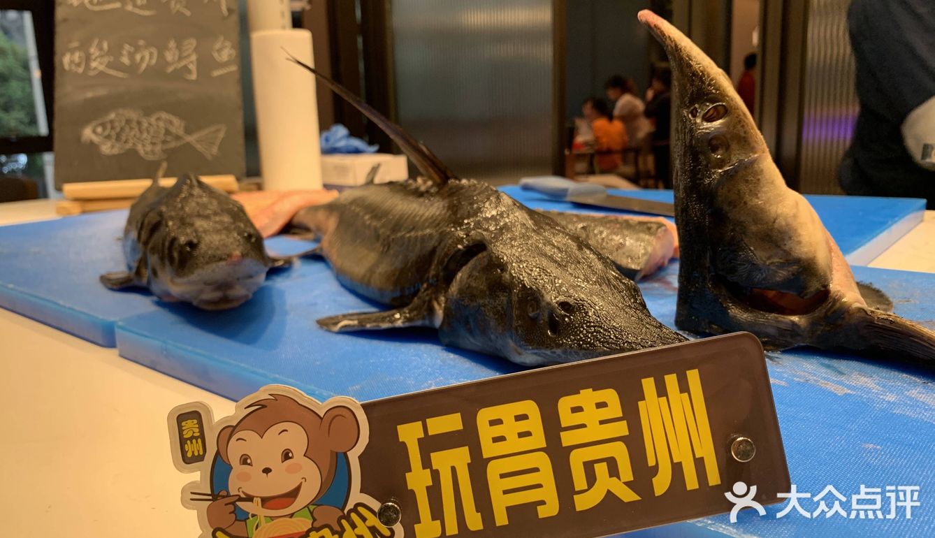 花溪福朋喜来登酒店