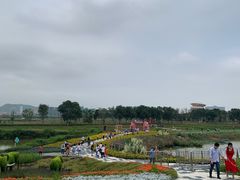 -光明小镇欢乐田园