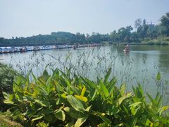 -枫香湖儿童公园