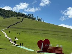 -关山草原