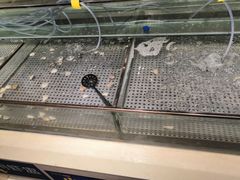 -蒙肥羊·酸汤潮牛·鲜牛肉火锅烤肉自助(岗顶店)