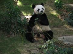 -香港海洋公园