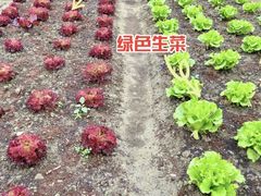 -中国天府农业博览园