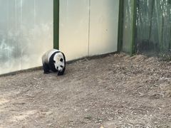 -栾川竹海野生动物园