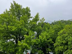 -蒋氏故居