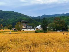 -塔川景区