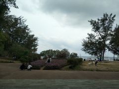 -玫瑰海岸文化旅游度假区