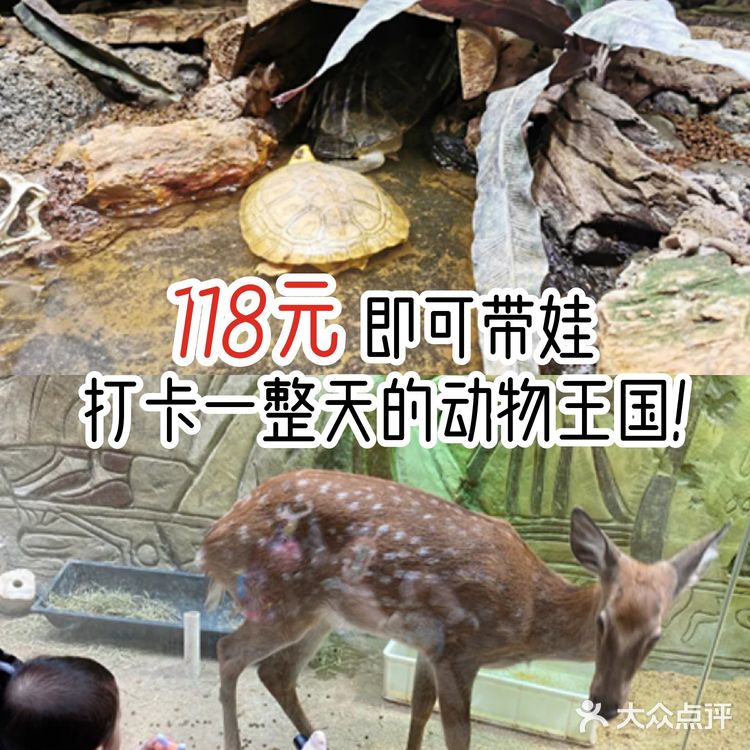 118元即可带娃打卡一整天的动物王国！