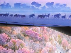 -罗红摄影艺术馆