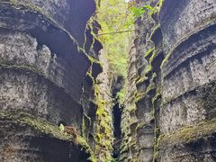 -梭布垭石林景区