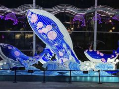 -海合安成都极地海洋公园