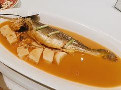 野生大黄鱼-香港龙凤楼(巨鹿路洋房店)