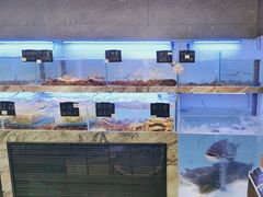 -章吴记喜瑞餐厅(东东城店)