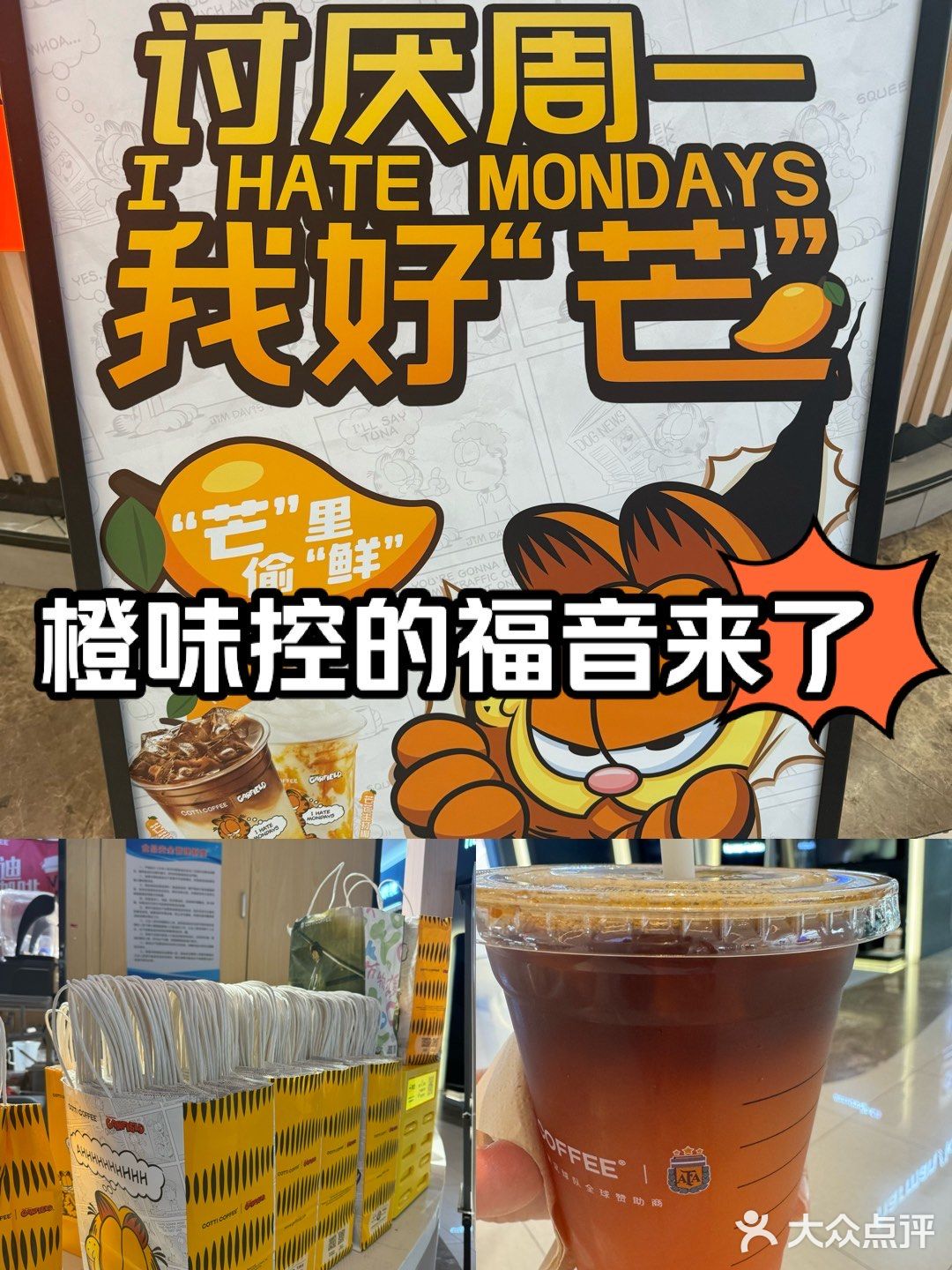 爱橘子味的进