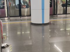 -大望路(地铁站)