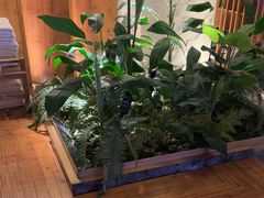 -浅深(北京北四环精品店)