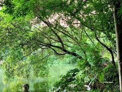 -桂林独秀峰王城景区
