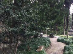 -叶家花园