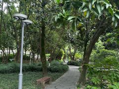 -成都市活水公园