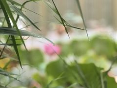 -木塔寺遗址生态公园