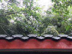 -大渡口区义渡公园