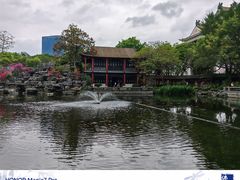 -顺峰山公园