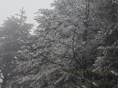 -峨眉山报国寺