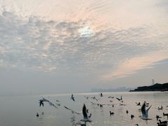 -深圳湾公园(南山区)