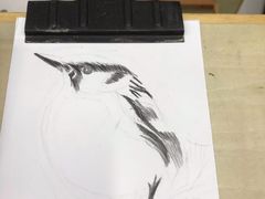 -八哥美术·成人美术画室(总校区)