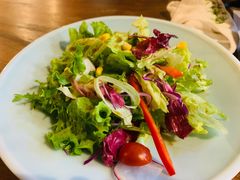 有机蔬菜沙拉-森味薪火烧•烧鸟居酒屋•日本料理(望京店)