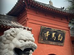-洛阳白马寺