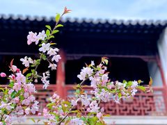 -太平天国历史博物馆(瞻园)