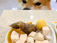 -柴源莊·柴小宠柴犬咖啡