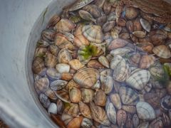 -那香海钻石沙滩浴场