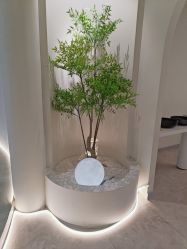 -VE专注问题肌·赛诺龙&科学美肤中心