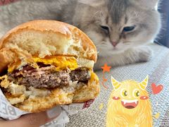 -The Habit Burger Grill 哈比特汉堡(爱琴海店)