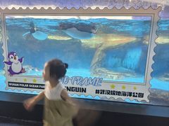 -海合安武汉极地海洋公园