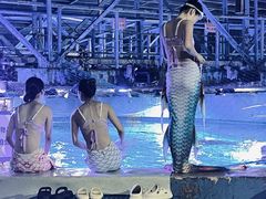 -烟台海昌鲸鲨海洋公园