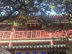 -蓬莱阁景区
