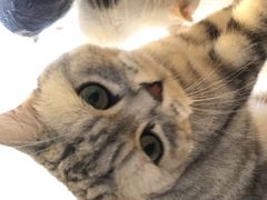 -平行世界·猫咖(首经贸店)
