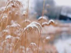 -野鸭湖国家湿地公园