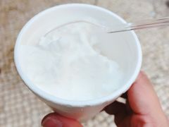 -洪馨椰子