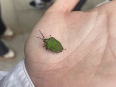 -北京十三陵国家森林公园蟒山景区