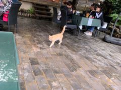 -炊烟餐厅
