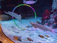 -沈阳海洋探索中心