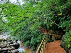 -青峰峡国家森林公园